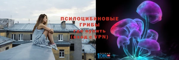 а пвп мука Богданович
