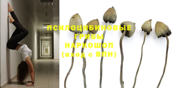 спайс Беломорск
