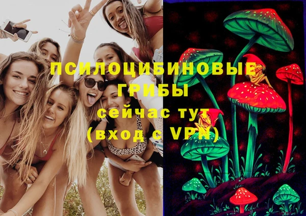 кокс Богородицк